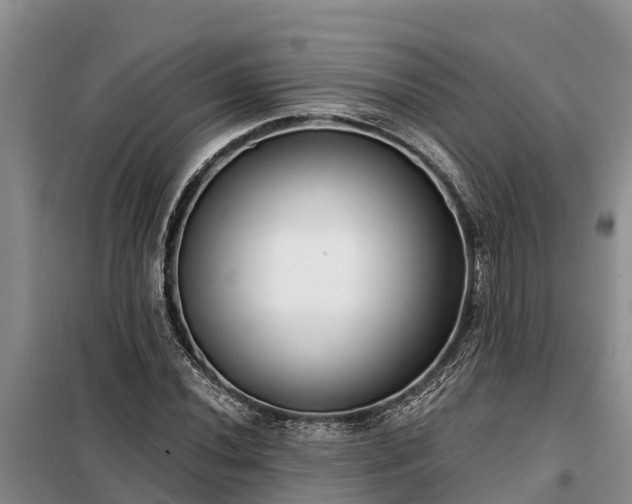 X0000099301020200805090949