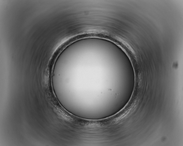 X0000099301021200805090949