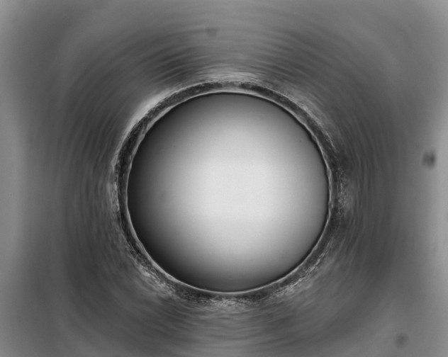 X0000099301022200805090949