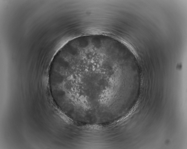 X0000099301023200805090949