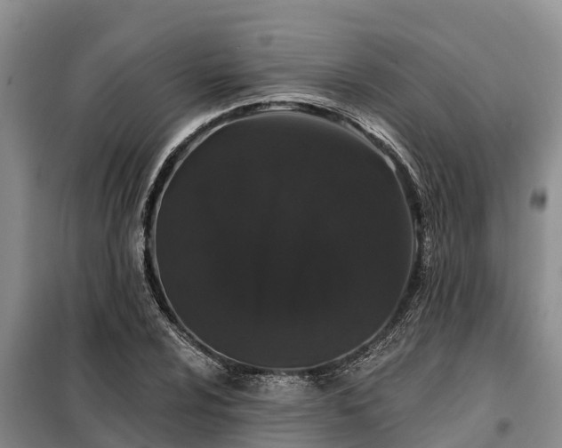 X0000099301024200805090949