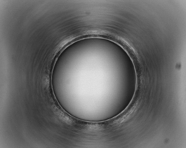 X0000099301025200805090949