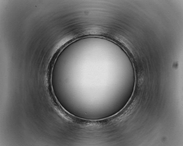 X0000099301026200805090949