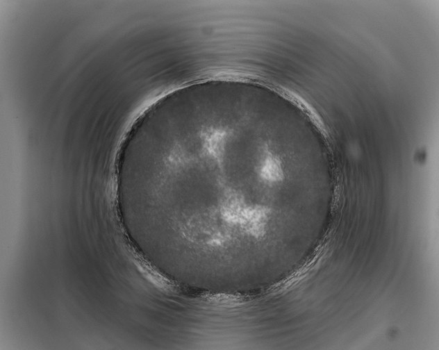 X0000099301027200805090949