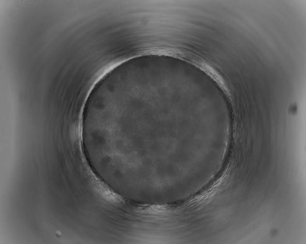 X0000099301028200805090949