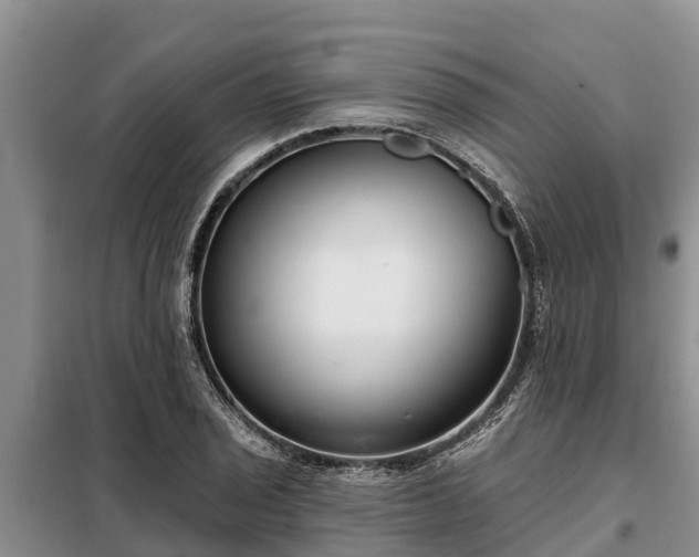 X0000099301029200805090949