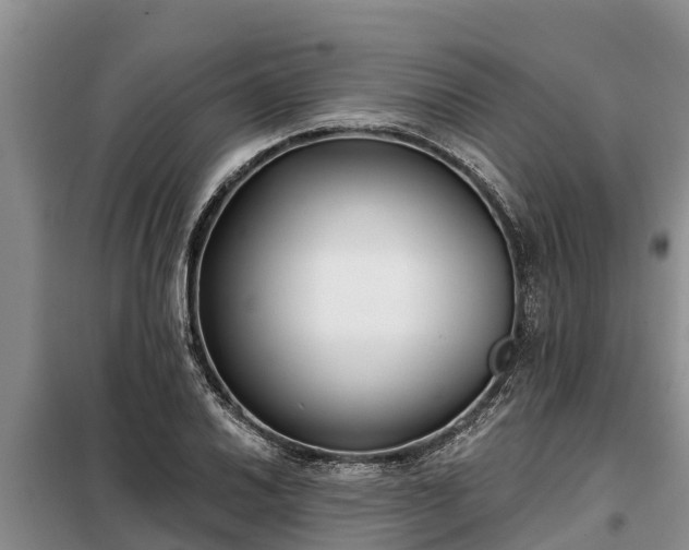 X0000099301030200805090949