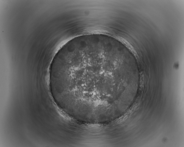 X0000099301031200805090949