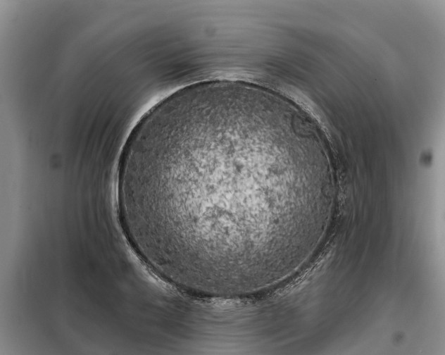 X0000099301032200805090949