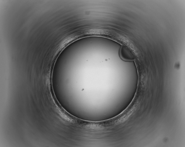 X0000099301033200805090949