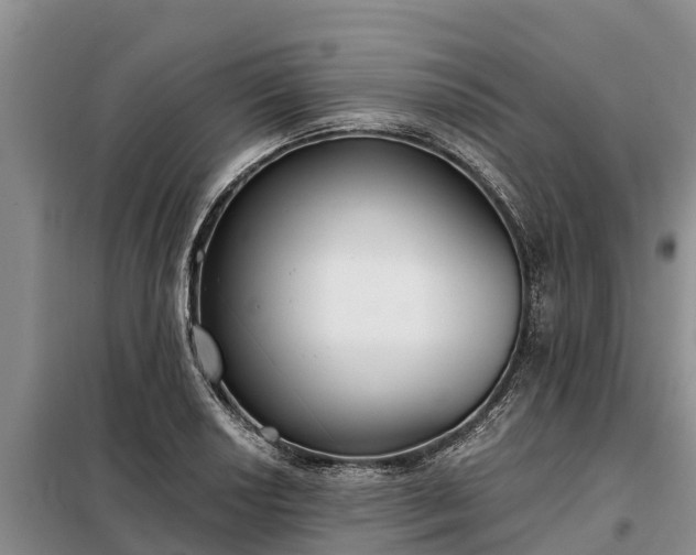 X0000099301034200805090949