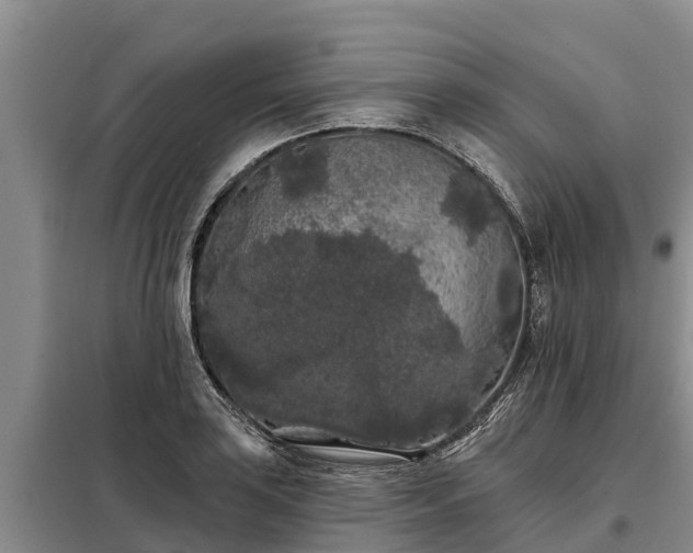 X0000099301035200805090949