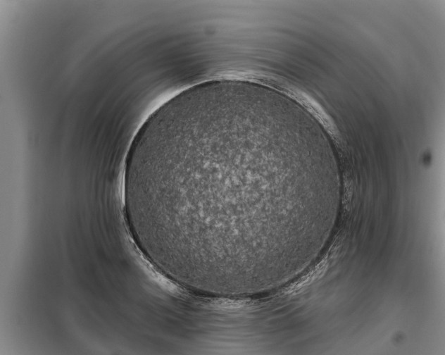 X0000099301036200805090949