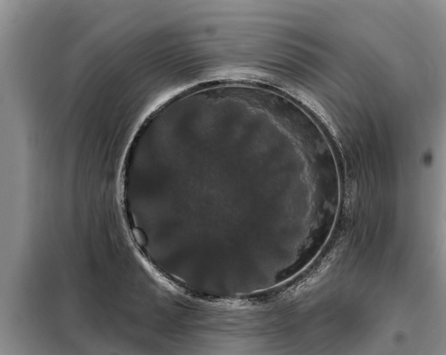 X0000099301037200805090949