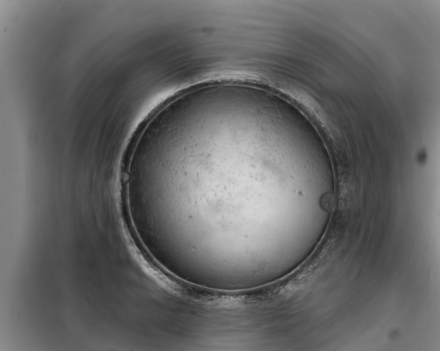 X0000099301038200805090949