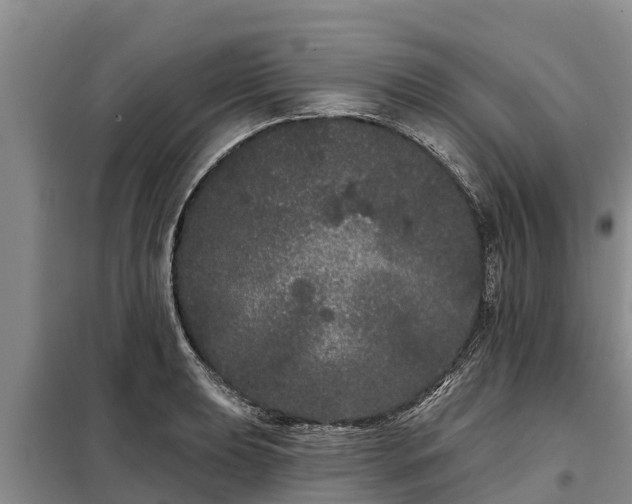 X0000099301039200805090949