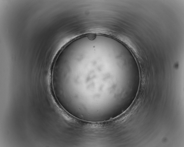 X0000099301040200805090949