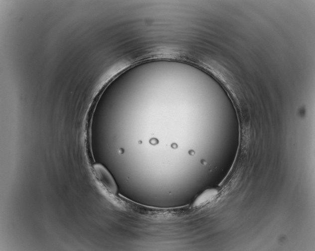 X0000099301042200805090949