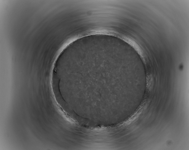 X0000099301043200805090949