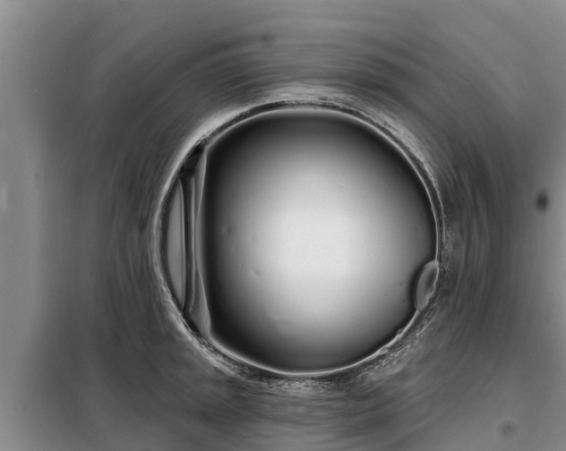 X0000099301045200805090949