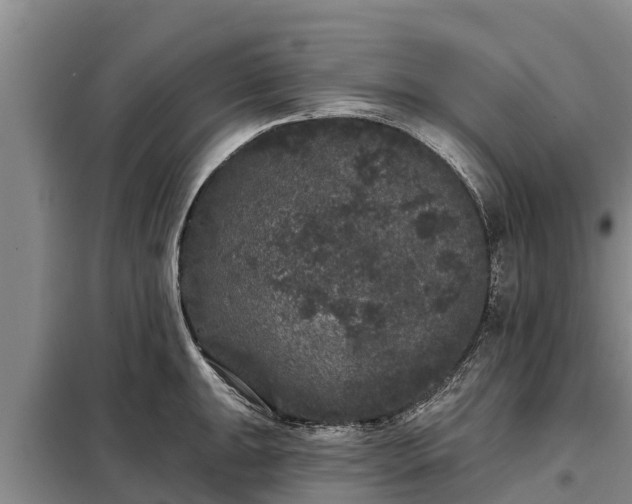 X0000099301047200805090949