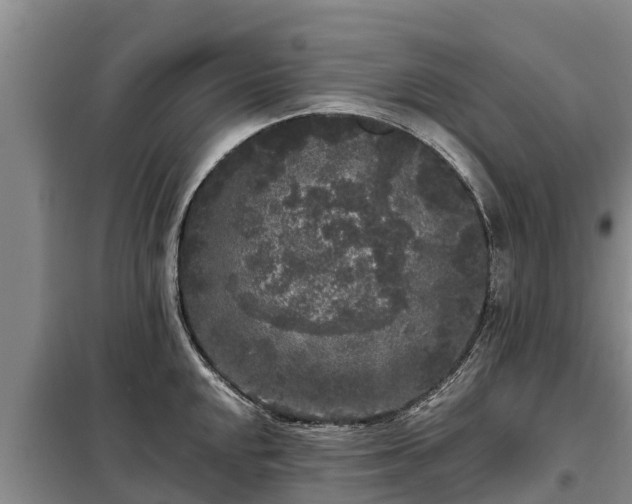 X0000099301048200805090949