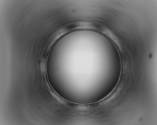 X0000099301049200805090949