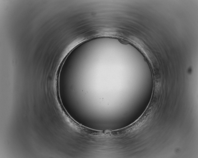 X0000099301050200805090950