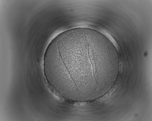 X0000099301051200805090950