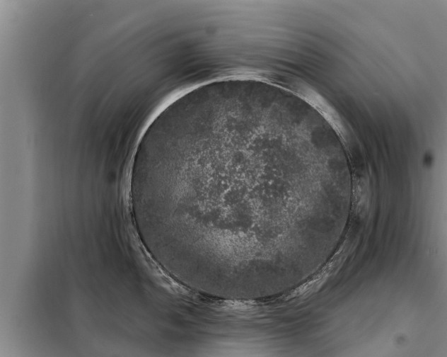 X0000099301052200805090950