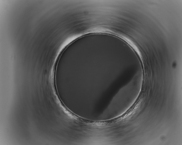 X0000099301053200805090950