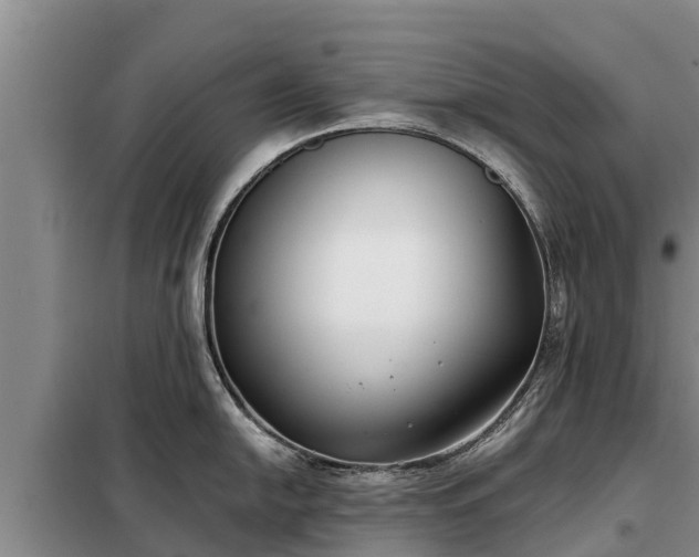 X0000099301054200805090950