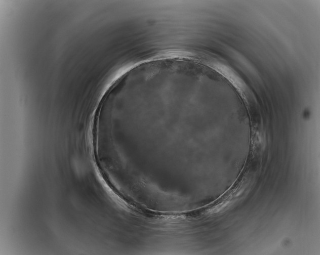 X0000099301055200805090950