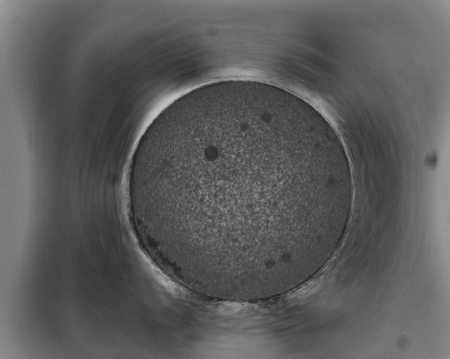 X0000099301056200805090950