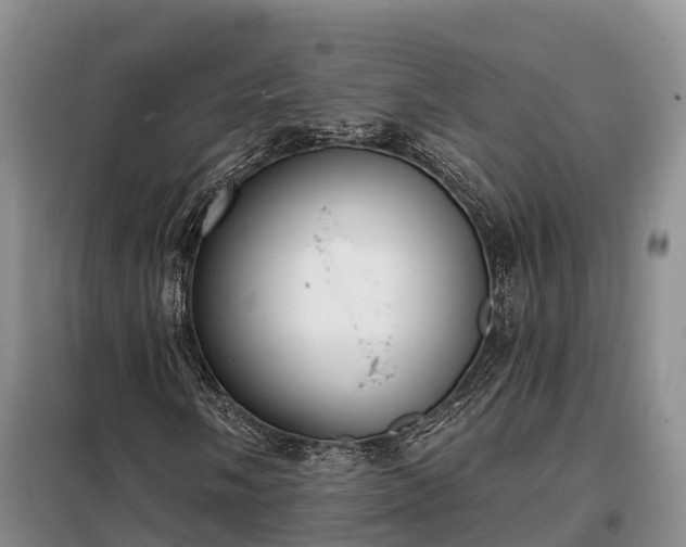 X0000099301058200805090949