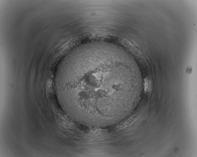 X0000099301059200805090949