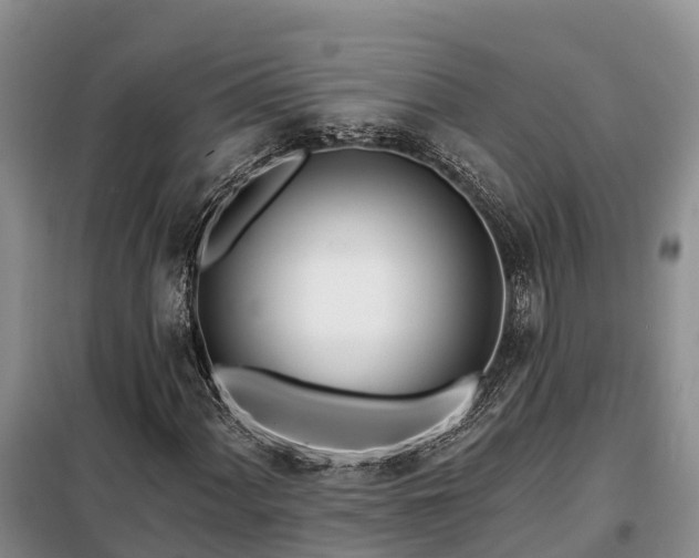 X0000099301060200805090949