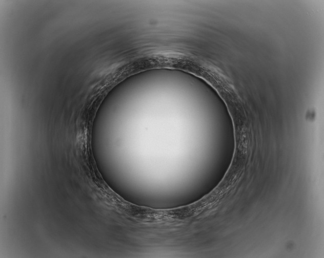 X0000099301061200805090949