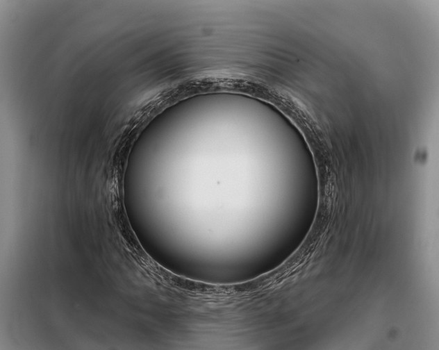 X0000099301062200805090949