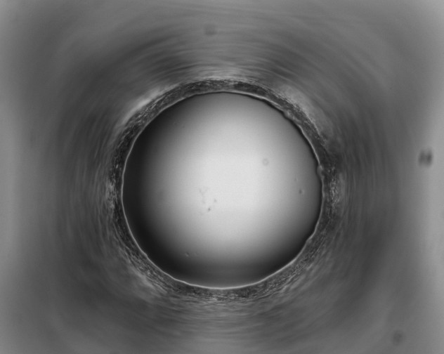 X0000099301064200805090949