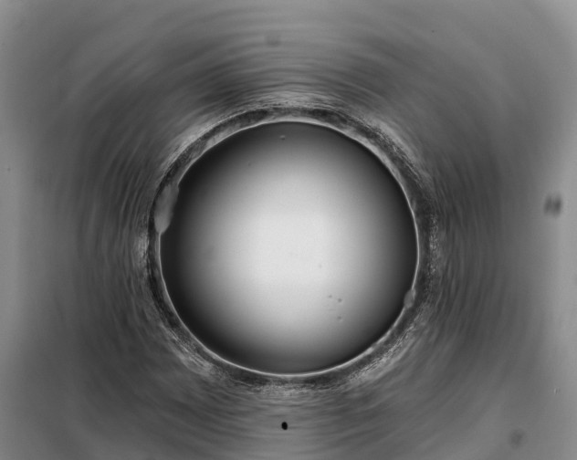 X0000099301065200805090949