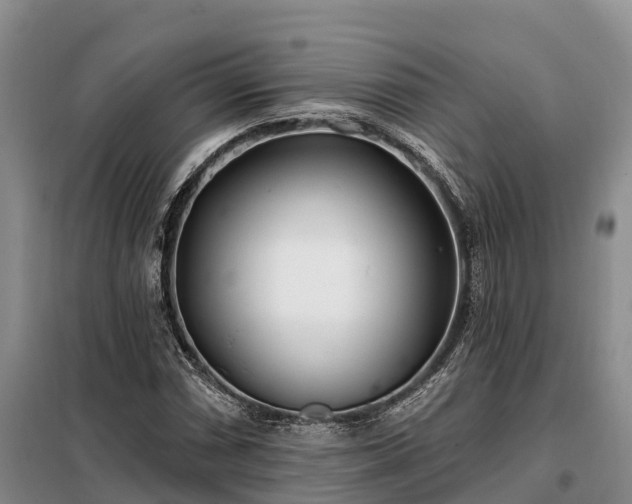 X0000099301066200805090949