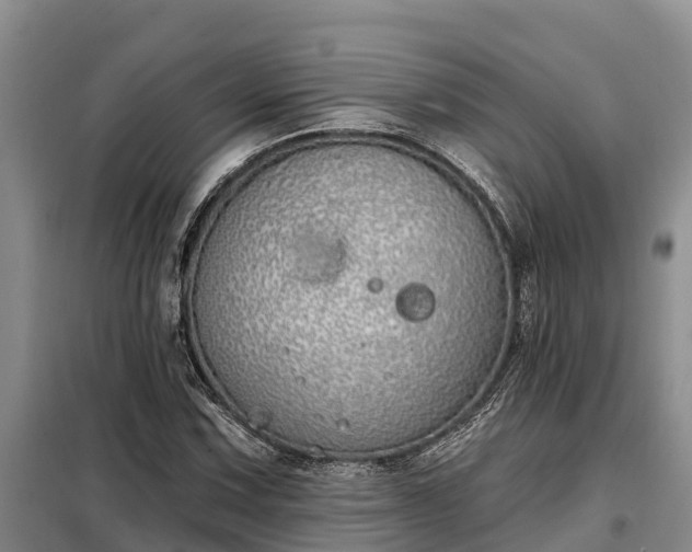 X0000099301067200805090949