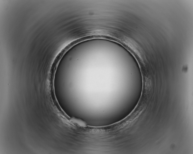 X0000099301068200805090949