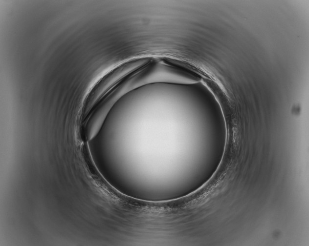 X0000099301069200805090949