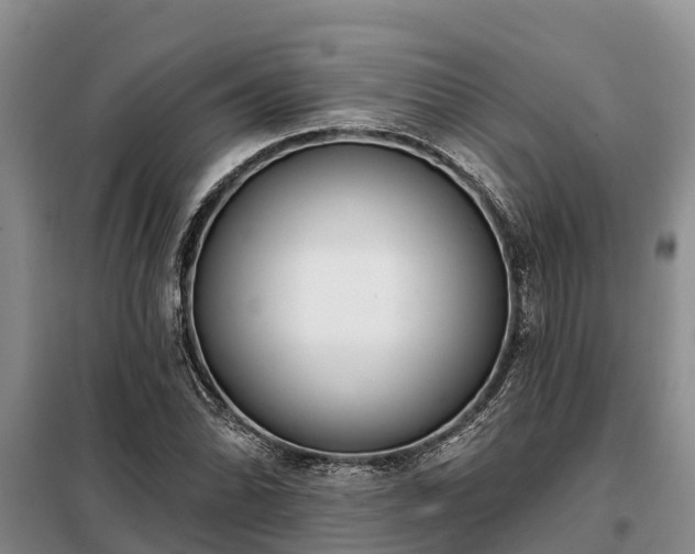 X0000099301070200805090949