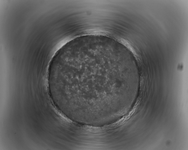 X0000099301071200805090949