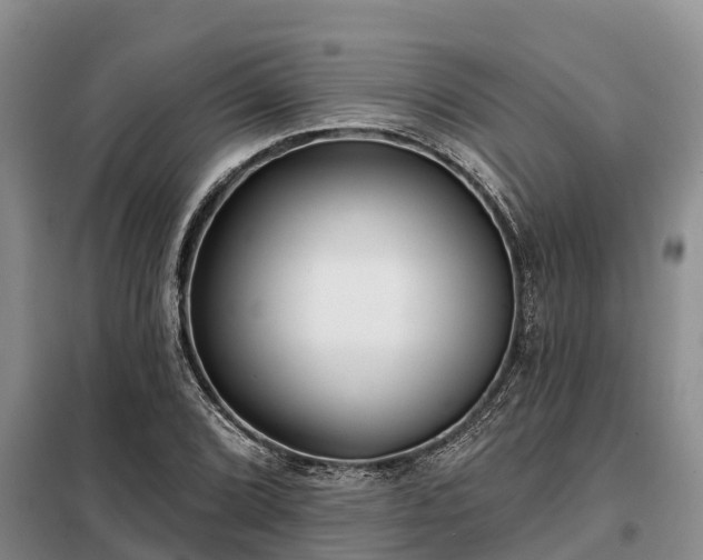 X0000099301072200805090949