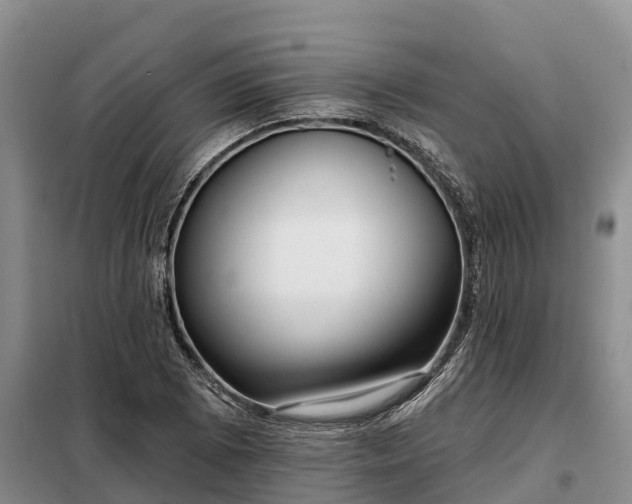 X0000099301073200805090949