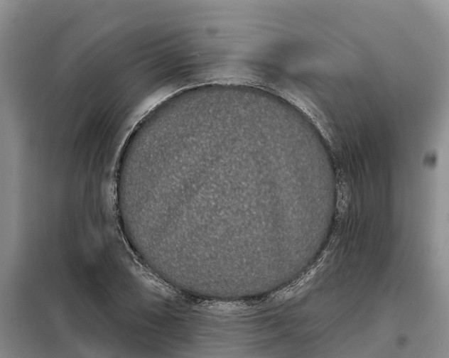 X0000099301074200805090949